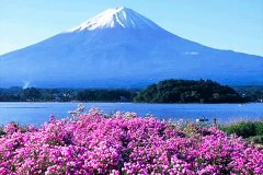 Tokai-yamanashi-monte-fuji-02-1200px