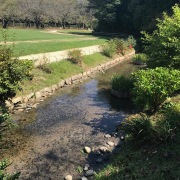 japon-cultural-viaje-a-japon-sep-2019-006