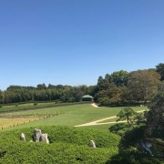 japon-cultural-viaje-a-japon-sep-2019-023